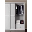 BL Asia 2 sliding doors wardrobe cabinet