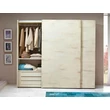 BL Asia 2 sliding doors wardrobe cabinet