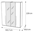 Platinum 4-doors cabinet, with 2 mirrored doors - silver birch