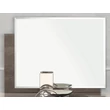 Platinum/Roma Day Mirror - silver birch