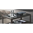 Elite Day Coffee table 120x60 cm - silver birch