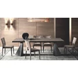 Elite Day TENT Dining table 200x105 cm (+2x50 cm extendable) - silver birch