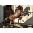 Wild horse bronze sculpture