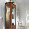 Classic 1-door display cabinet