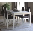 Eden Day Dining table 160x100 cm (+2x40 cm extendable), with leaf motif