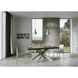 Volantis Multicolor 4A Dining table