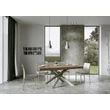 Volantis Multicolor 4A Dining table