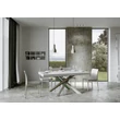 Volantis Multicolor 4A Dining table