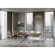 Volantis Multicolor 4C Dining table