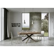 Volantis Multicolor 4C Dining table