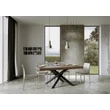 Volantis Dining table