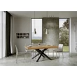 Volantis Dining table