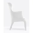 Pasha armchair