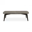 Theo coffee table with marble top