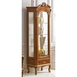 TV-Vetrine 1-door display cabinet (opening to the right or left)