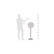 Elegant Standing Globe, Black – ZF Vasco da Gama