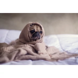 Unod a bezártságot? Hasznos ötleteink segítenek!