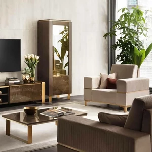 Luxury living rooms