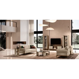 Champagne-Brown Living Room / Seating Set with TV Cabinet Set – AC Linea Day