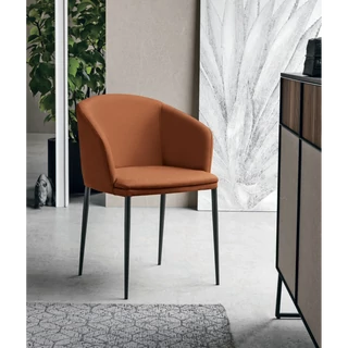 Sofia karoszék (Polo 819 valódi bőr (F kategória), antracit váz)