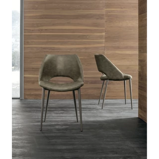 Arisa szék (Vintage 102 ökobőr (B kategória), mocsárszürke váz)