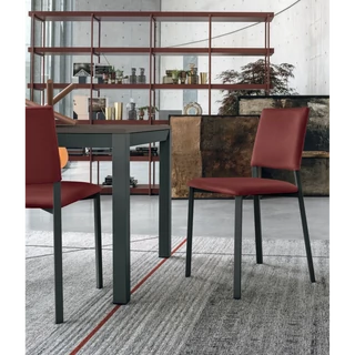 Sara szék (Twist 302 ökobőr (1/One kategória), antracit váz)