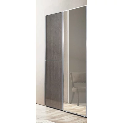 Maia 2 tolóajtós gardróbszekrény, 1 tükrös ajtóval - ezüst nyír