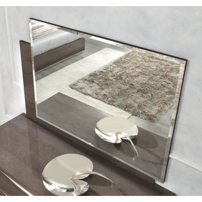 Platinum/Roma Day Mirror - silver birch