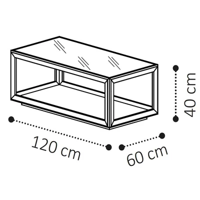 Elite Day Coffee table 120x60 cm - silver birch