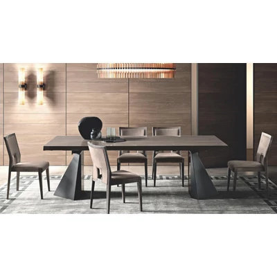 Elite Day TENT Dining table 200x105 cm (+2x50 cm extendable) - silver birch