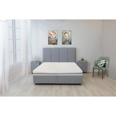 Ergo Disc mattress