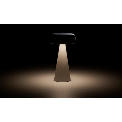 Fade lamp