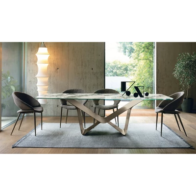 Aliante étkezőasztal (Cod. 06 nyomtatott üveg asztallap; bronz váz; 240x100 cm-es fix változat) és Rachele szék