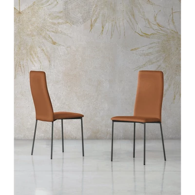 Gaia szék (Polo 819 valódi bőr (F kategória), antracit váz)